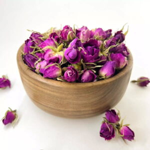 غنچه گل محمدی