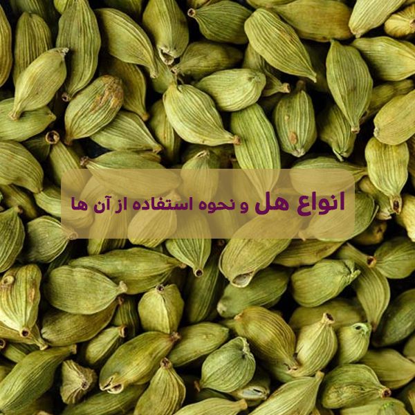 انواع هل و نحوه استفاده از آن‌ ها