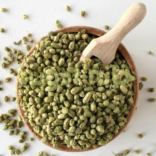 گل اورگانو چیست