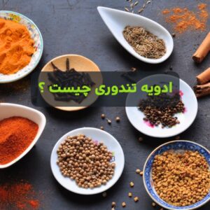 ادویه تندوری چیست ؟
