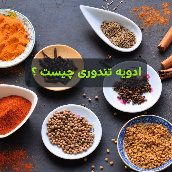 ادویه تندوری چیست ؟